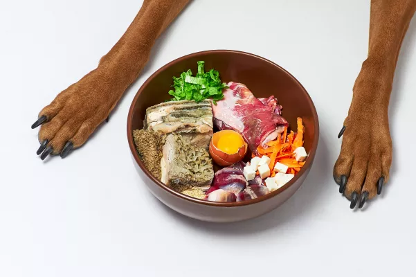 Bild: BARFeGO - Lieferdienst für Hundefutter - BARF in 120 Min geliefert