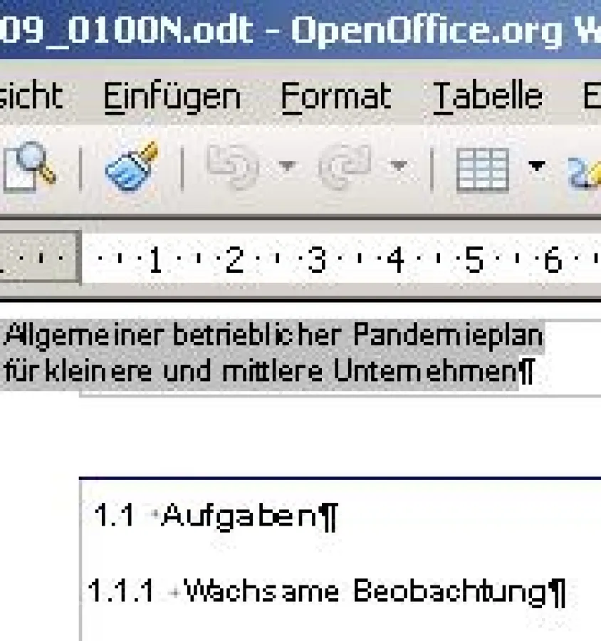 PanP in OpenOffice - T.Teichmann 2009