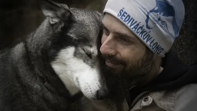 Bild: Auf vier Pfoten durch die Natur: Huskywandern im Waldviertel