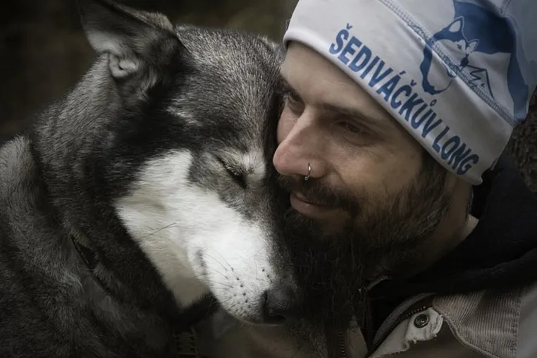 Bild: Auf vier Pfoten durch die Natur: Huskywandern im Waldviertel