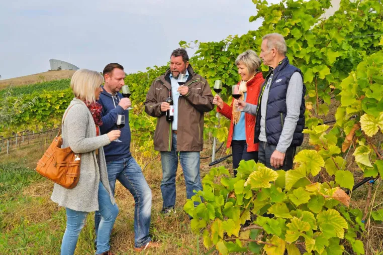 Lausitzer Seenland: Neuer Wein von neuen Bergen Bild: Lausitzer Seenland: Neuer Wein von neuen Bergen