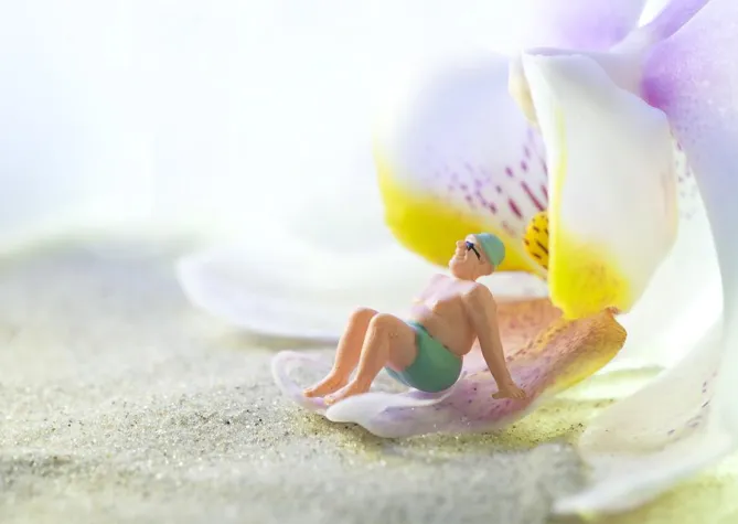 Bild: Verspielter geht’s nicht: 1-tägiger Fotoworkshop „Tabletop-Fotografie: Mini“ in Hannover