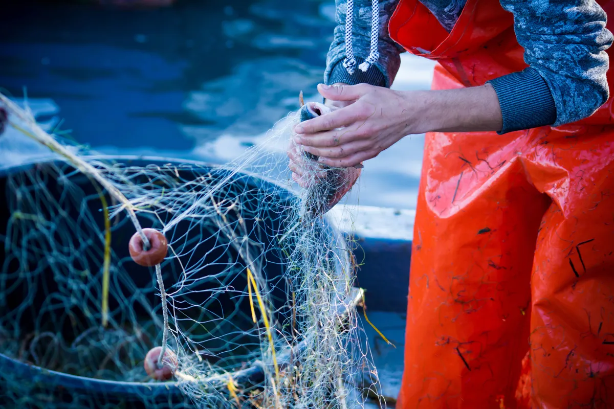 Auch in der kommerziellen Fischerei hat Plastik seinen festen Platz. (© ALPLA)