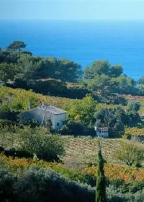 Bild: Mediterranes Gipfeltreffen am Fuße der Alpen