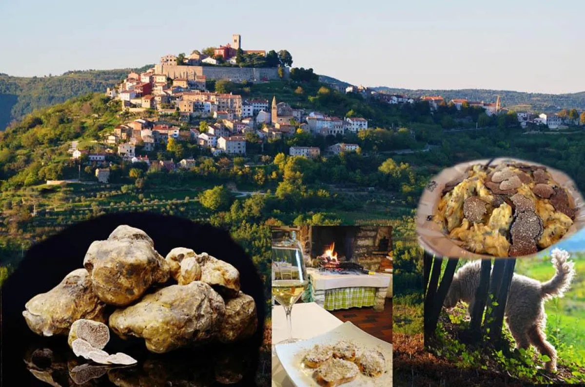 Trüffeln-Kroatien-Istrien-Prodan Tartufi