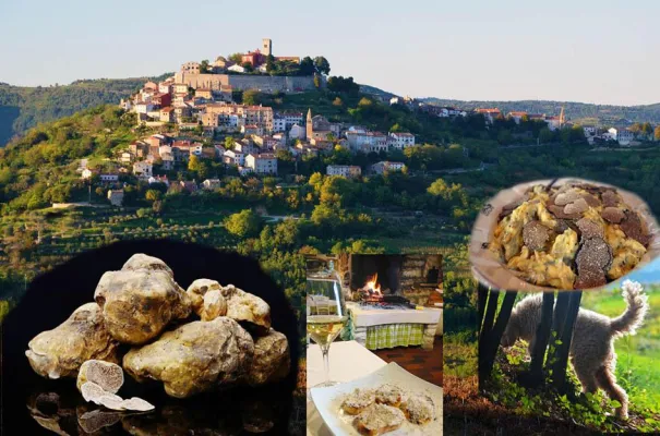 Den weißen Trüffeln auf der Spur in Istrien Bild: Den weißen Trüffeln auf der Spur in Istrien