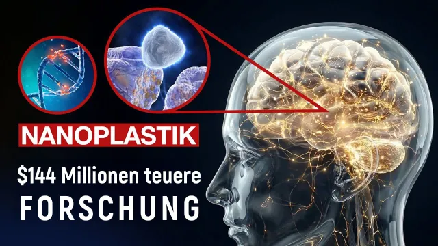 Bild: STOMP-Programm: USA investieren 144 Millionen Dollar in die Erforschung von Mikroplastik
