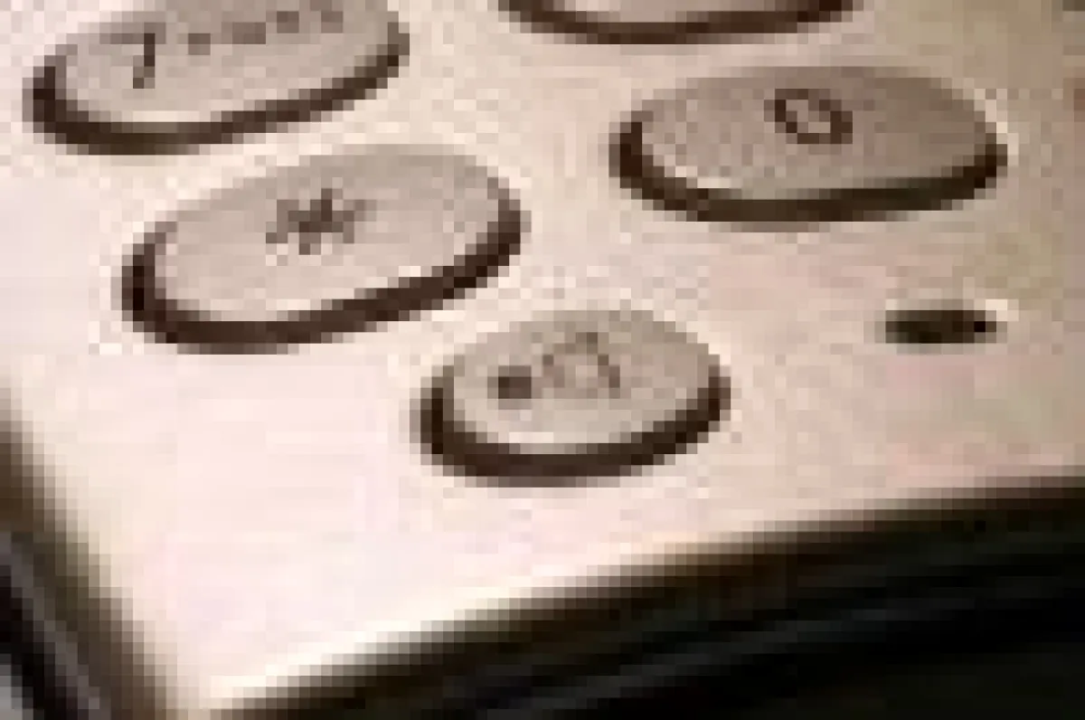 Machen Handys Krank ? Baubiologe Alexander Nastasi klärt in Heidelberg auf.