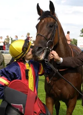 Bild: Englische und französische Stuten wollen sich den „htp-Cup“ auf der Bult schnappen