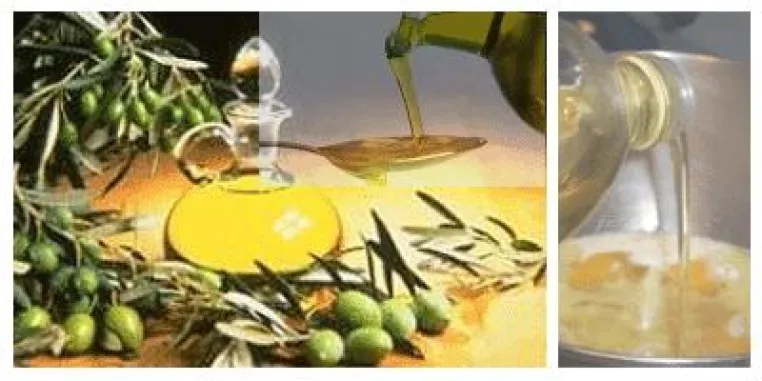 Bild: MasterCuisine gesund: Das geeignete Speiseöl