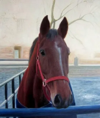 Bild: Handgemaltes Pferdeportrait nach Fotovorlage