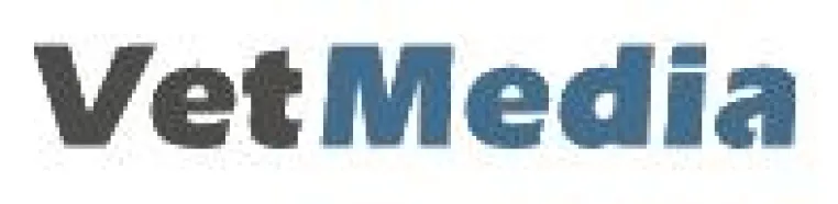 Bild: Webdesign und Praxismarketing für Tierärzte