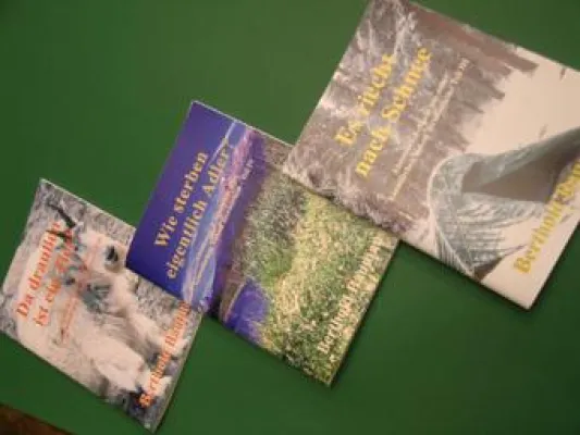 Bild: Von Grizzlybären und pinken Hütten