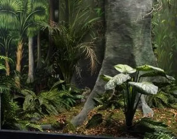 Sebastian Schröder - VISUM BESTIARUM / Diplomausstellung: Fotografie, Installation Bild: Sebastian Schröder - VISUM BESTIARUM / Diplomausstellung: Fotografie, Installation