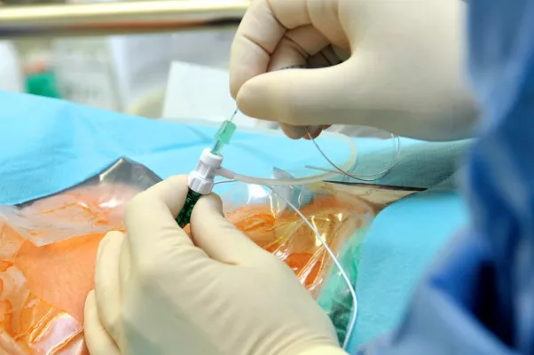 Bild: Infoveranstaltung zur Therapie von chronischen Schmerzen