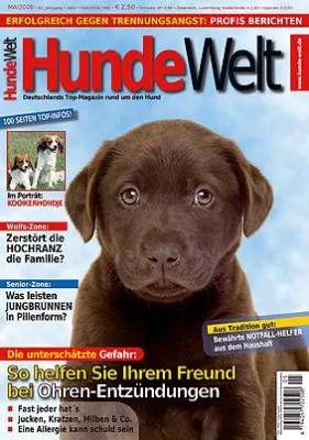 Bild: Das Drama der geretteten Hunde