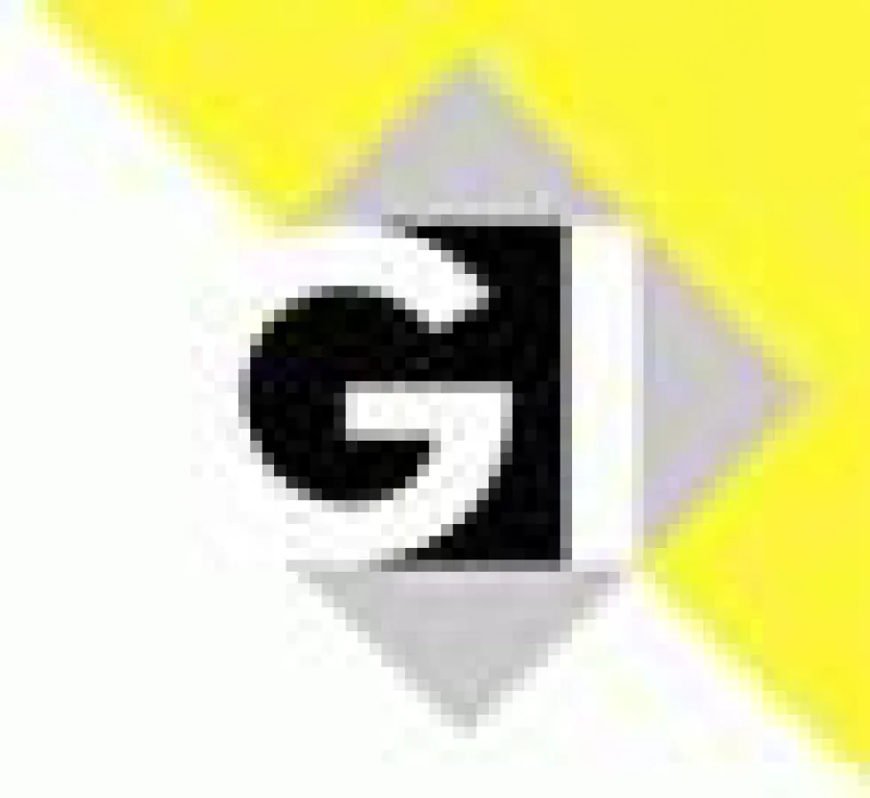 Regionalgruppe der Gesellschaft für Informatik Rhein-Main