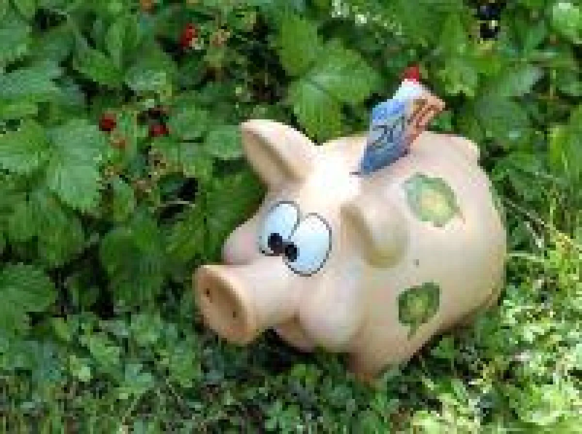 Grünes Geld geht auf Tour.