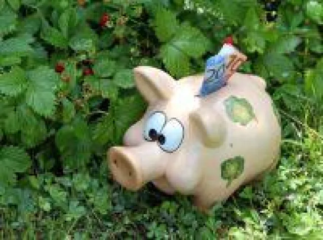 Bild: Wenn das Sparschwein stöhnt…