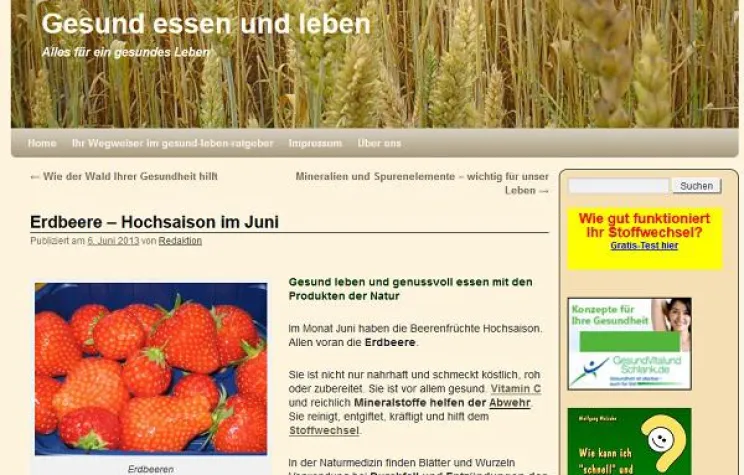 Bild: Hochsaison für die Gesundheit mit Beeren