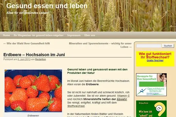 Bild: Hochsaison für die Gesundheit mit Beeren