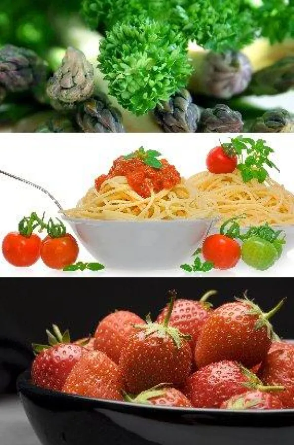 Food-Spezialist Pitopia bietet seit 2 Jahren Festpreis-Menüs für den anspruchsvollen Bildkäufer - Pitopia, Witter/Cawelius/Collet, 2010