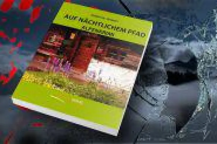 Bild: Auf nächtlichem Pfad - Ein Alpenkrimi: Regionalroman von Thomas Schmidt