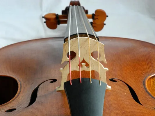 Bild: Geigenbauerin aus Bamberg erlangt drei Auszeichnungen beim internationalen Barockcellobauwettbewerb