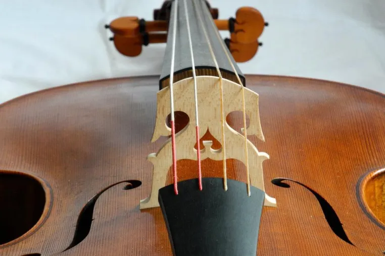 Geigenbauerin aus Bamberg erlangt drei Auszeichnungen beim internationalen Barockcellobauwettbewerb Bild: Geigenbauerin aus Bamberg erlangt drei Auszeichnungen beim internationalen Barockcellobauwettbewerb