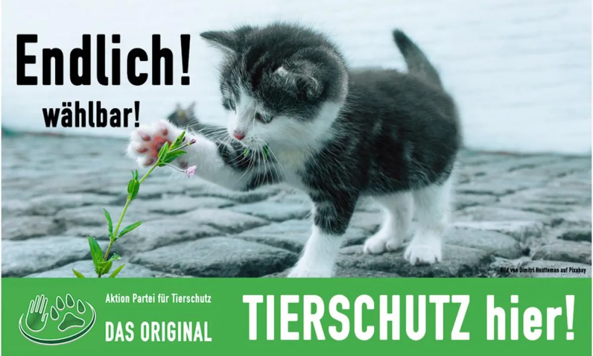 Tierschutz hier! Tierrechte wählbar!