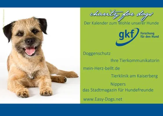 Bild: Easy Dogs fördert die kynologische Forschung mit dem Kalenderprojekt "charity for dogs"