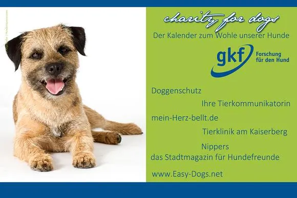 Bild: Easy Dogs fördert die kynologische Forschung mit dem Kalenderprojekt "charity for dogs"