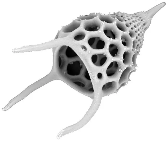 Bild: Forschen für neue Produkte