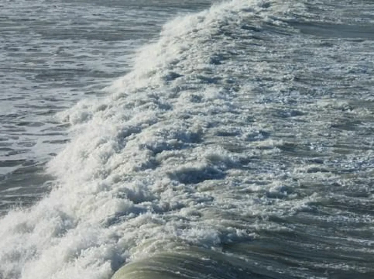 HighO3 food - Mit den Vitalstoffen aus dem Meer