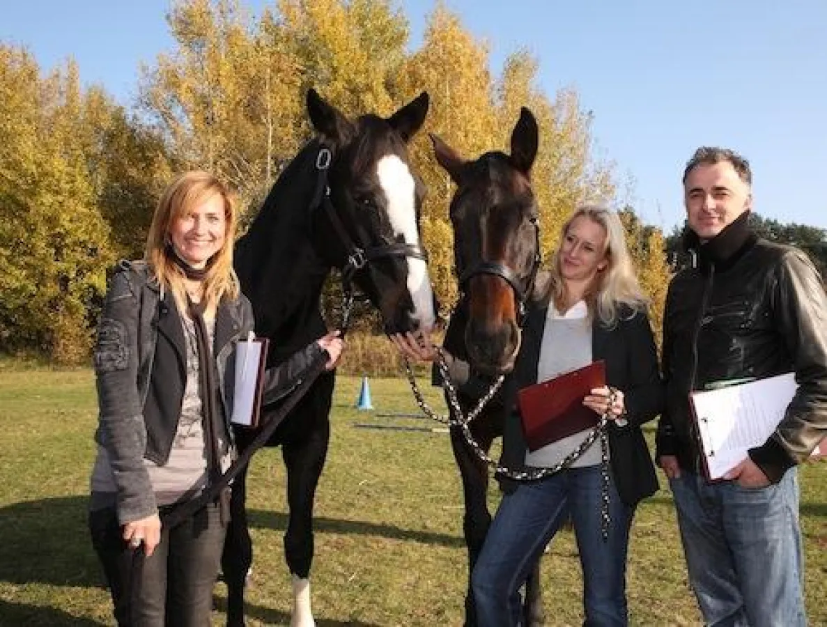 Pferdegestützte Seminare und Events in Berlin und Brandenburg