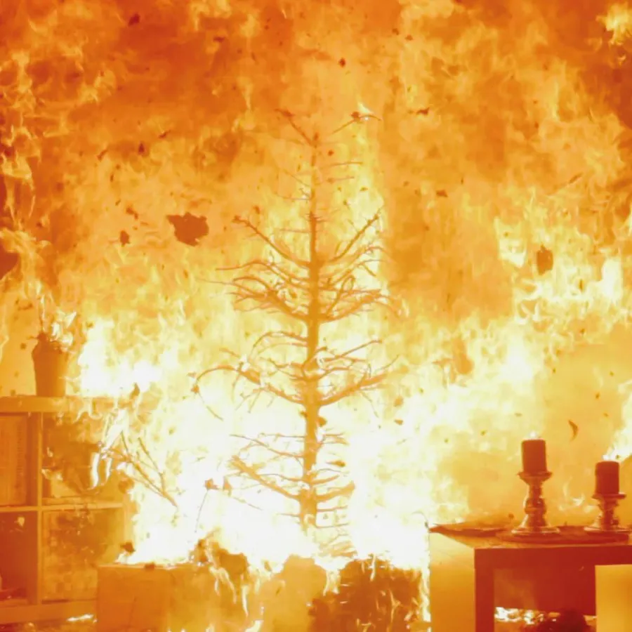 Wenn ein trockener Tannenbaum in Brand gerät, breiten sich die Flammen erschreckend schnell aus.