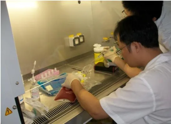 Leipziger Stammzellstandards für Vietnam Bild: Leipziger Stammzellstandards für Vietnam