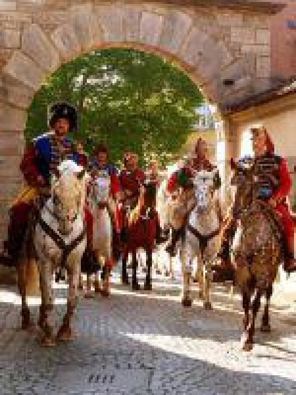 Die Kroaten zu Pferd aus Mittelfranken