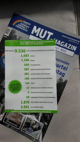 Bild: Tierheimfest Süderstraße - Ein voller Erfolg!