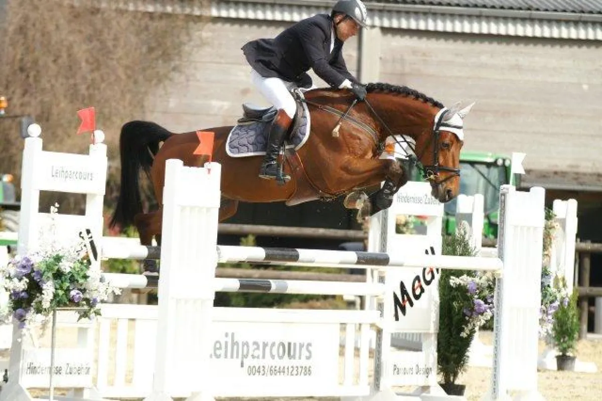 Linzer Pferdefestival 2008