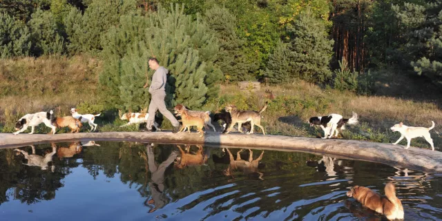Tierschutz fängt beim Einkauf an – Pro Animale begrüßt Eröffnung veganer Supermärkte (Rewe in Berlin) Bild: Tierschutz fängt beim Einkauf an – Pro Animale begrüßt Eröffnung veganer Supermärkte (Rewe in Berlin)