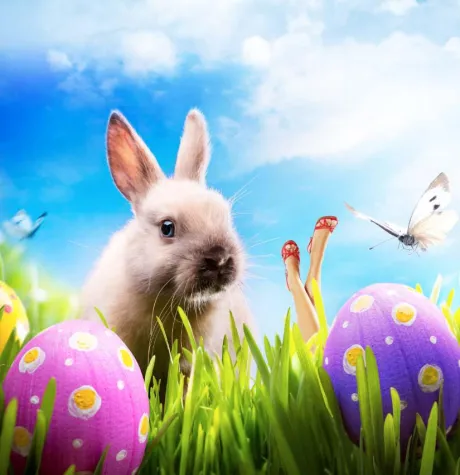 Bild: Oster Hotelspecial - Ostern im Hotel Cocoon