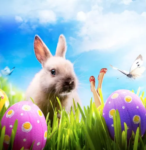 Bild: Oster Hotelspecial - Ostern im Hotel Cocoon