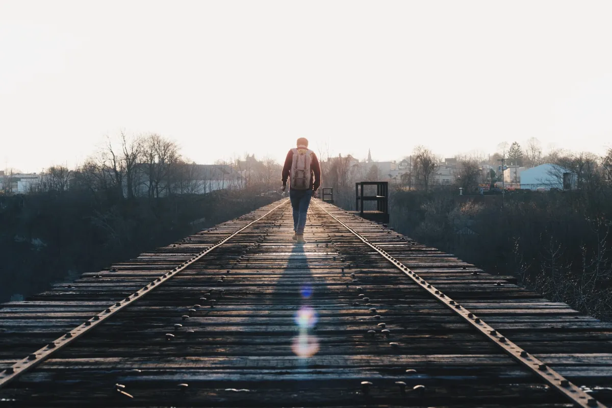 Förderprogramm ZIM ist eingestellt (© Photo by Dan Gribbin on Unsplash)
