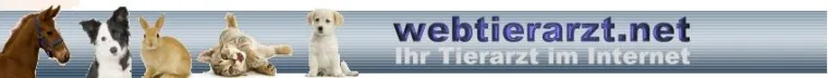 Bild: webtierarzt.net – Ihr Tierarzt im Internet