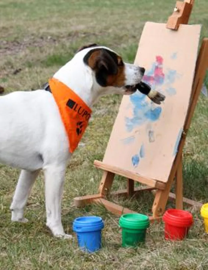 Jetzt mitmachen - und SUPERPFOTE® 2011 werden! (Foto: Copyright Clemens Borger)