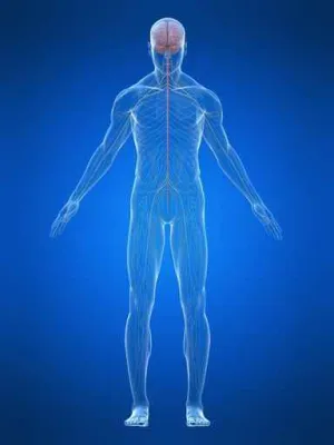 Was ist Osteopathie? Osteopathie bei Kindern Bild: Was ist Osteopathie? Osteopathie bei Kindern