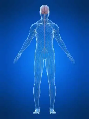 Was ist Osteopathie? Osteopathie bei Kindern Bild: Was ist Osteopathie? Osteopathie bei Kindern