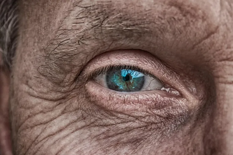 Einfluss der Ernährung auf die Makuladegeneration Bild: Einfluss der Ernährung auf die Makuladegeneration