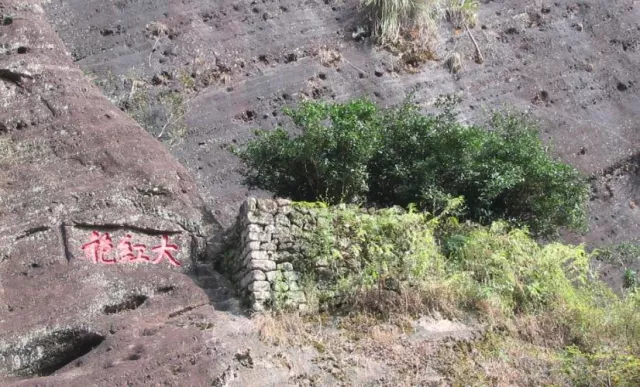 Bild: Den edelsten Tee der Welt entdecken